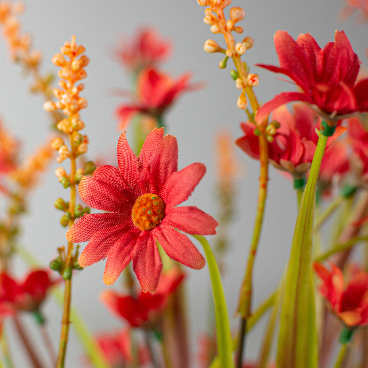18" Daisy Filler Bush: Orange Lifestyle Photo
