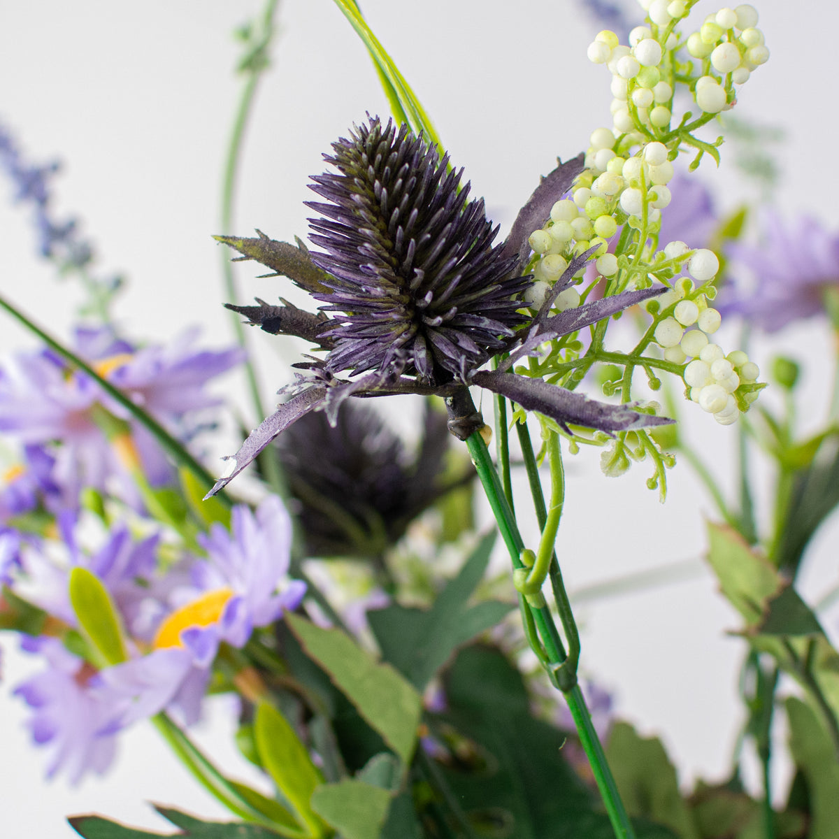 17" Daisy Lavender Bush: Purple Lifestyle Photo