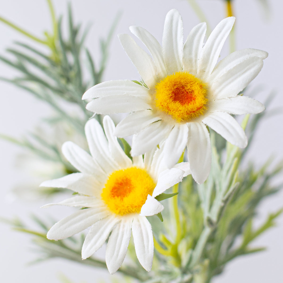 15" Daisy & Leaves Pick: White Lifestyle Photo