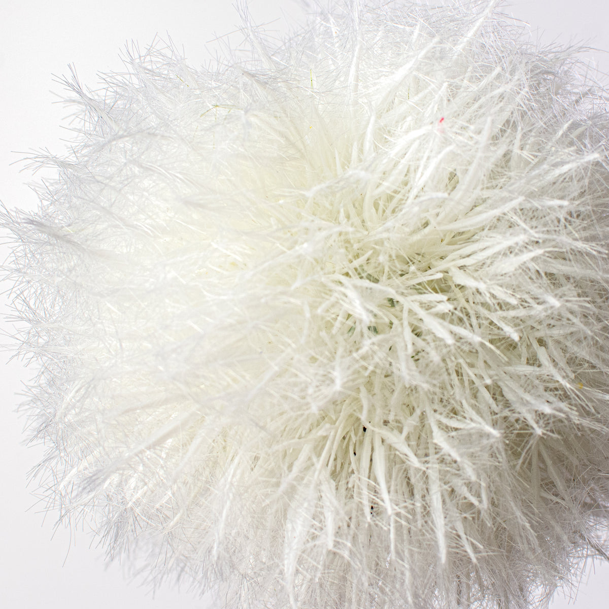 25'' Dandelion Seed Head Stem: White Lifestyle Photo
