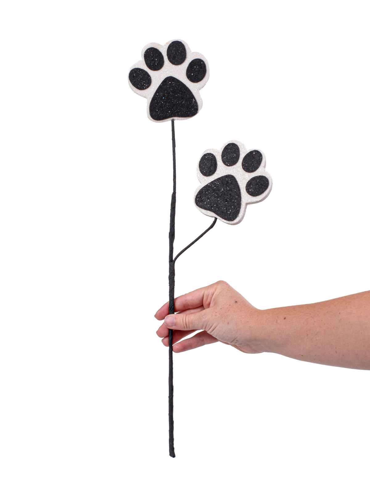 18" Dog Paw Spray: Black detail photo 3