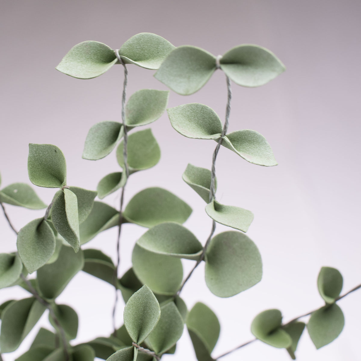 19" Eucalyptus Stem Pick detail photo 3