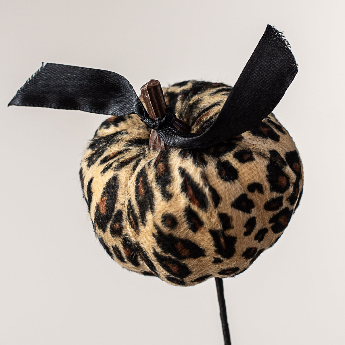 26" Fabric Furry Pumpkin Spray: Cheetah Lifestyle Photo
