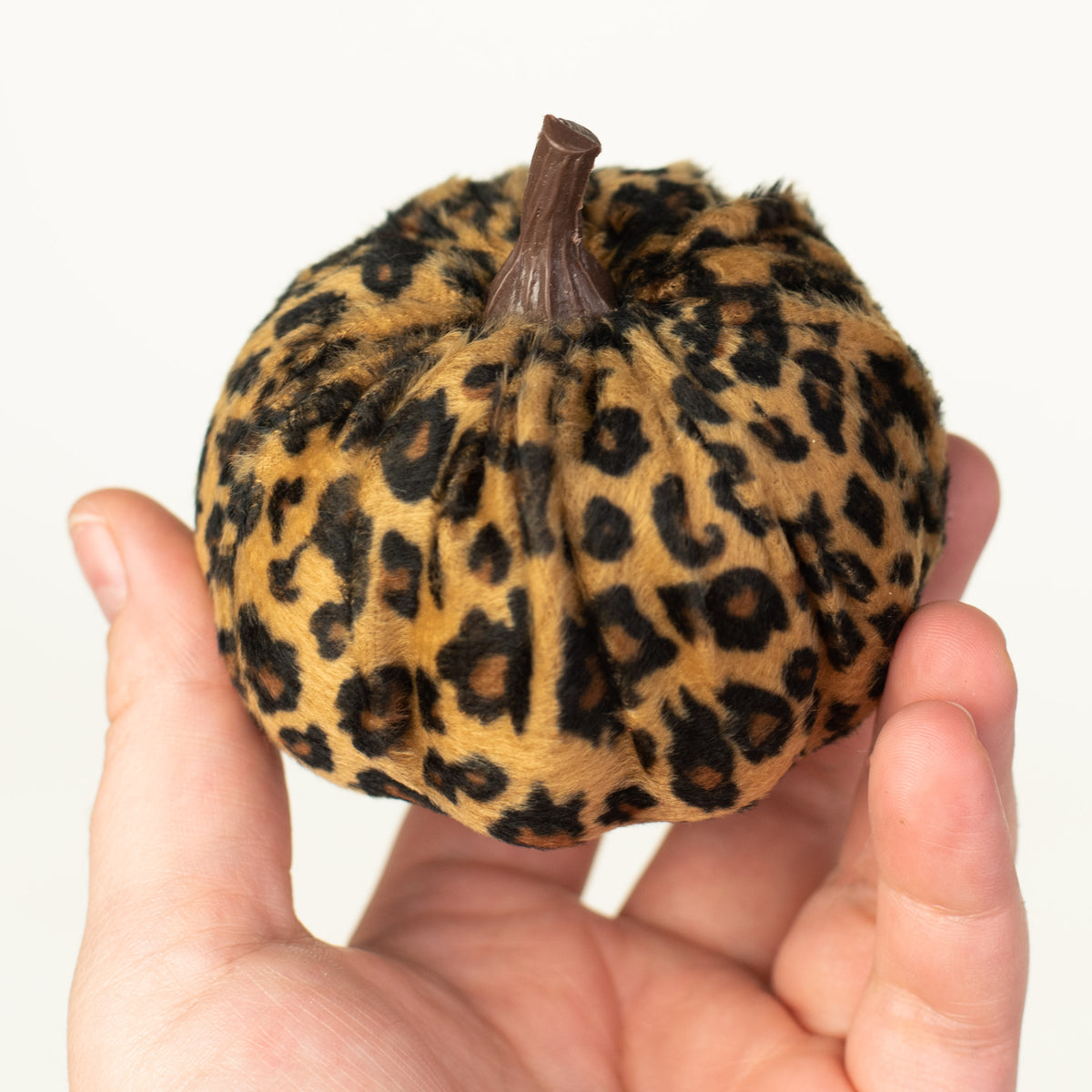 3" Fabric Furry Pumpkins: Cheetah (Set of 6) detail photo 3