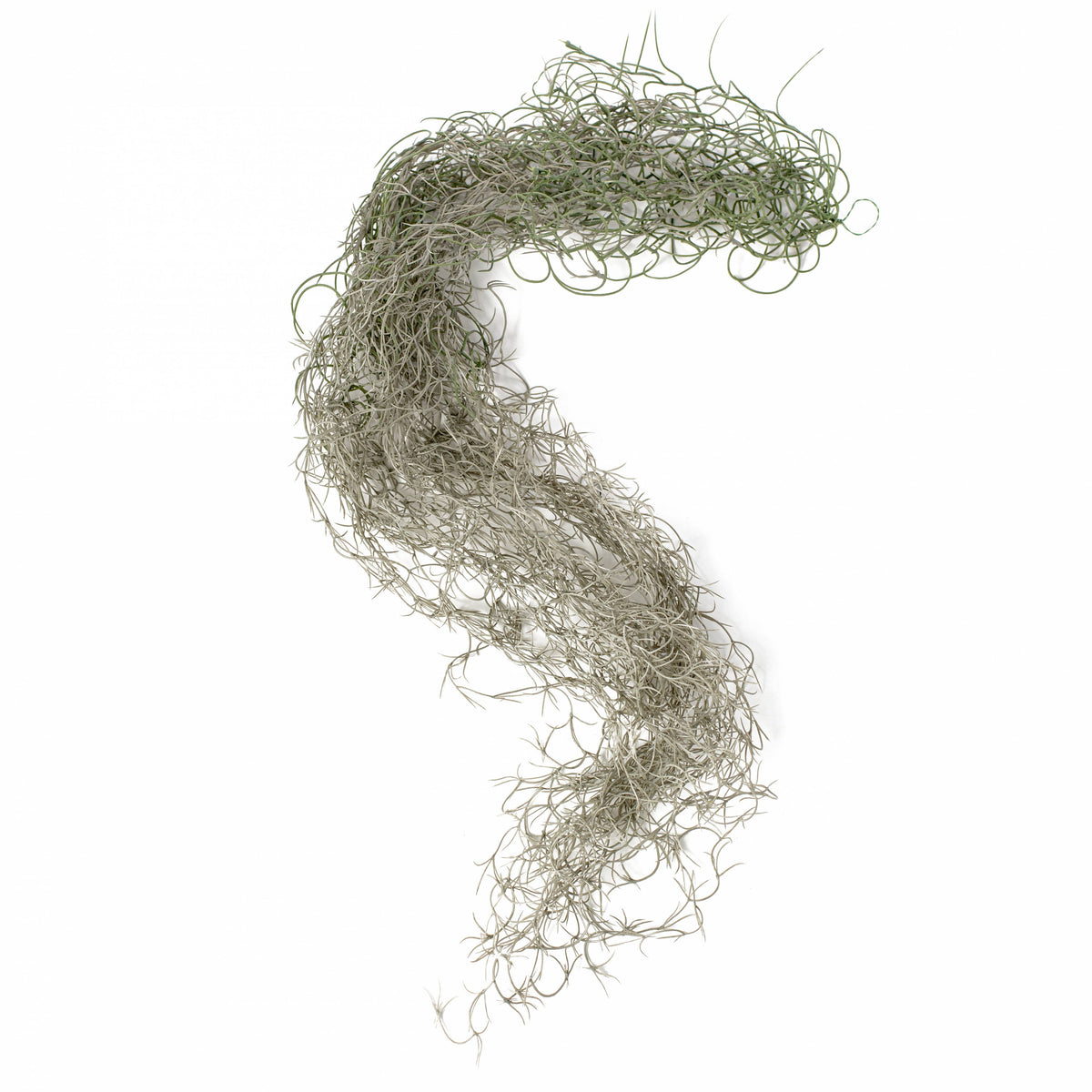 51" Faux Spanish Moss Hanging Spray: Grey Item Number: PF173610
