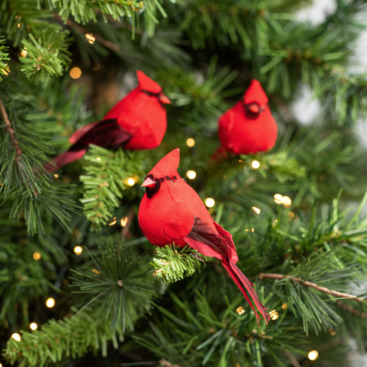 4" Feather Cardinal Clip Ornaments (Box of 12) Lifestyle Photo