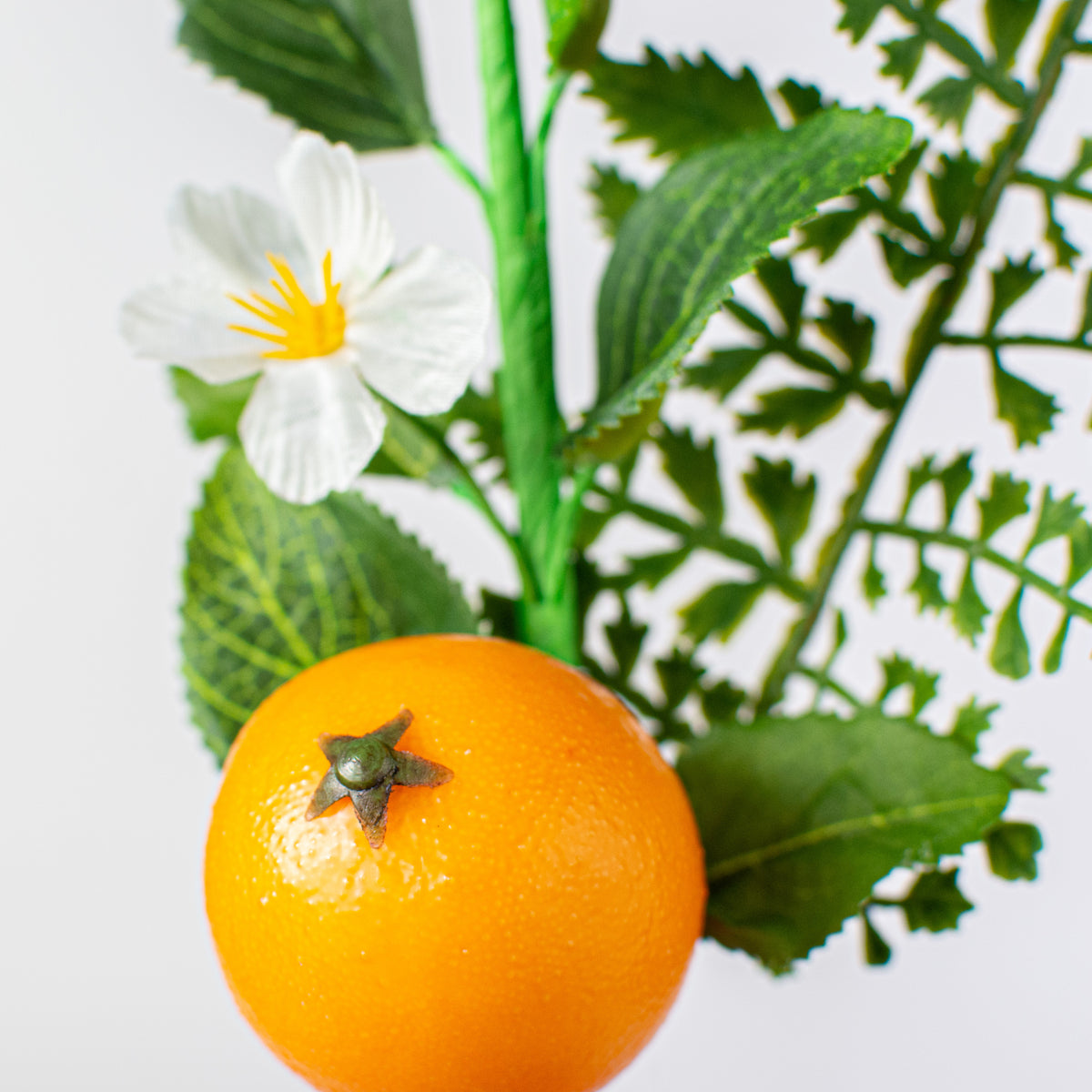 10" Fern, Greenery, Orange Pick Lifestyle Photo
