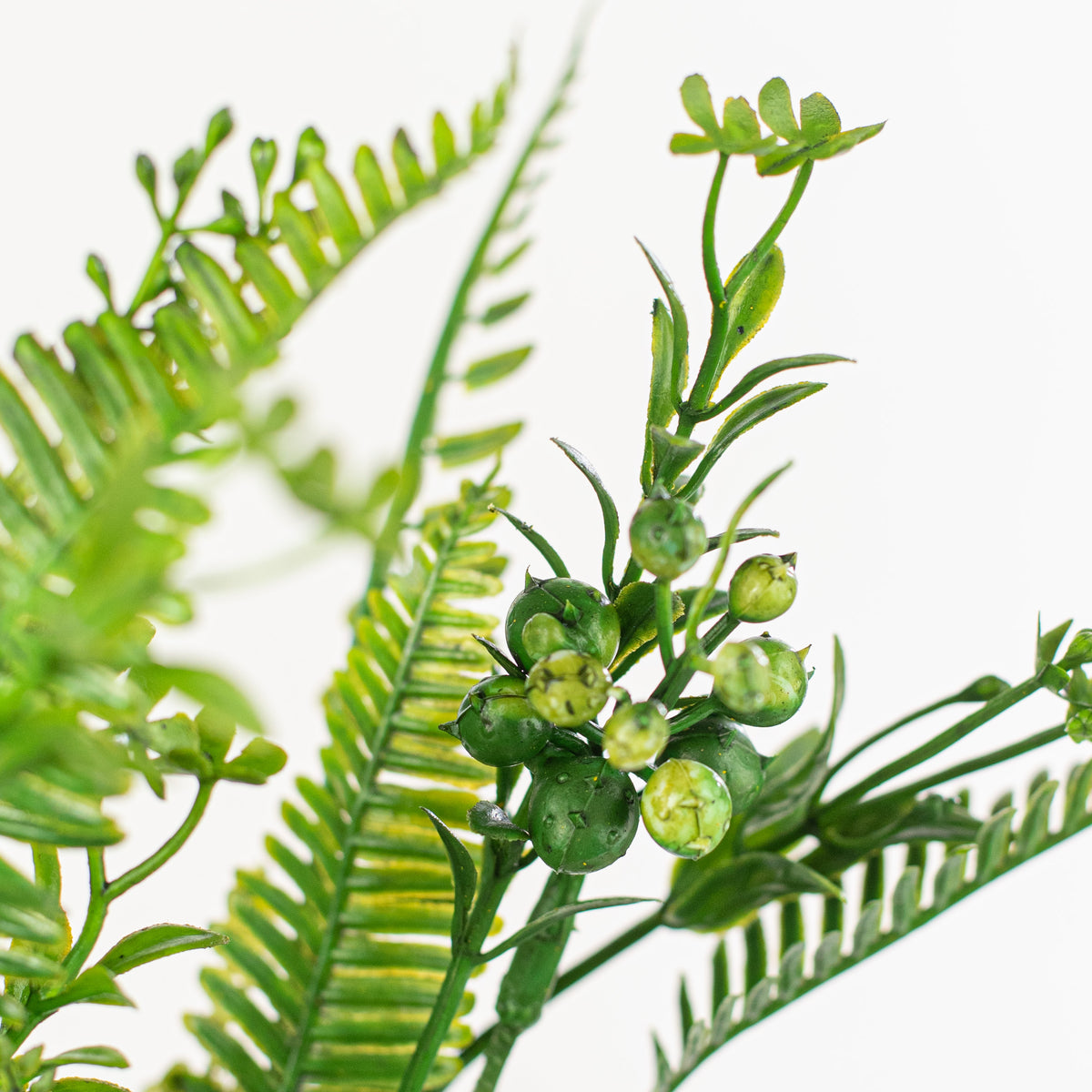 20" Fern Leaves Mix Bush Lifestyle Photo