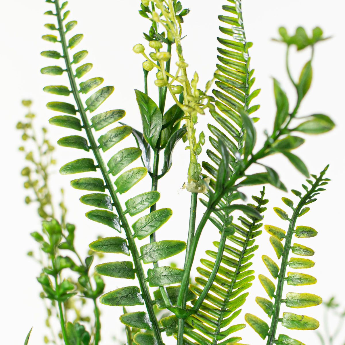 20" Fern Leaves Mix Bush detail photo 4