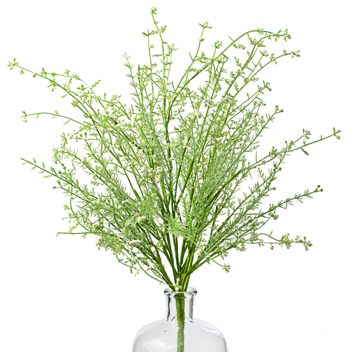 22" Filler Bush: Cream Item Number: 63097CM