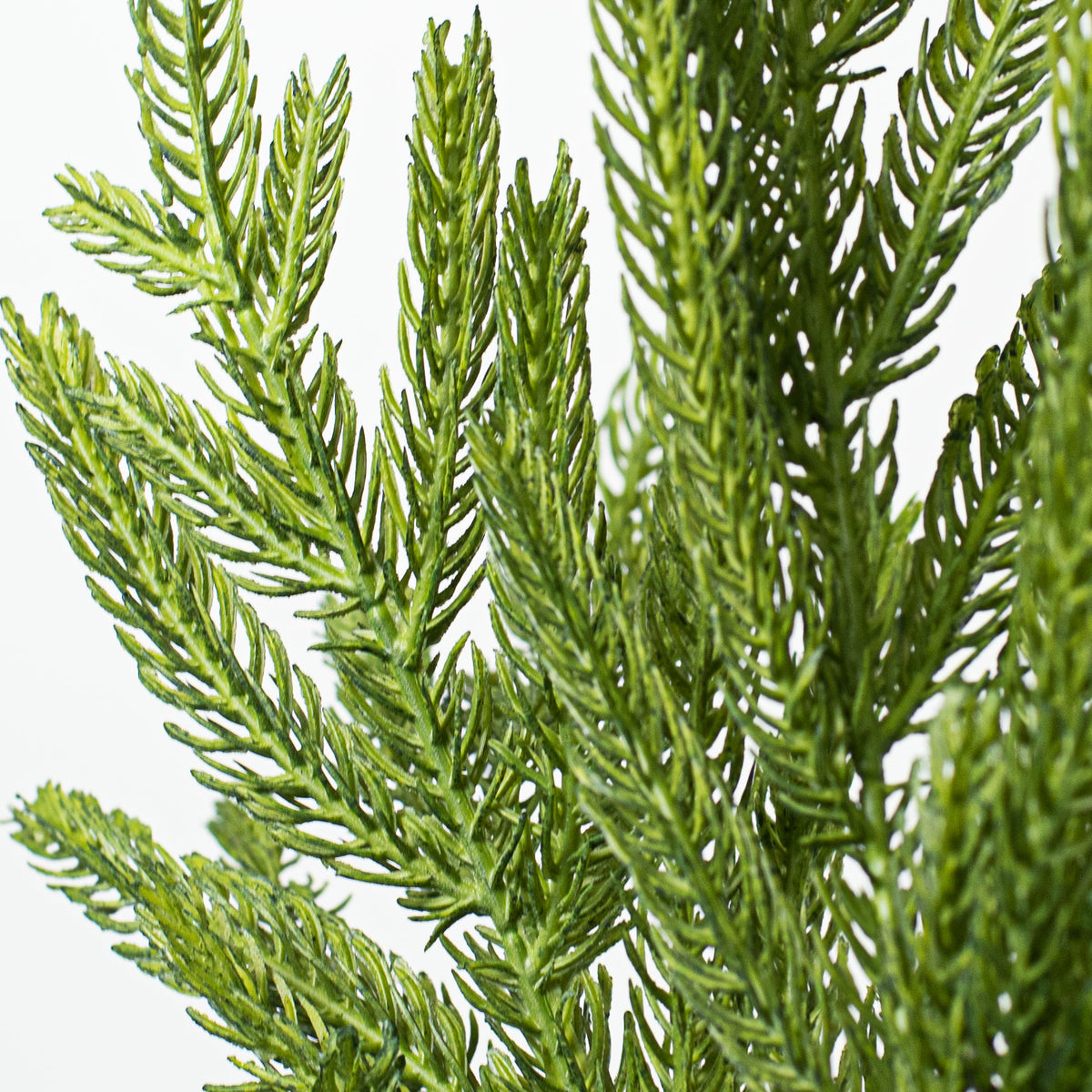 36" Fir Branch Spray detail photo 3