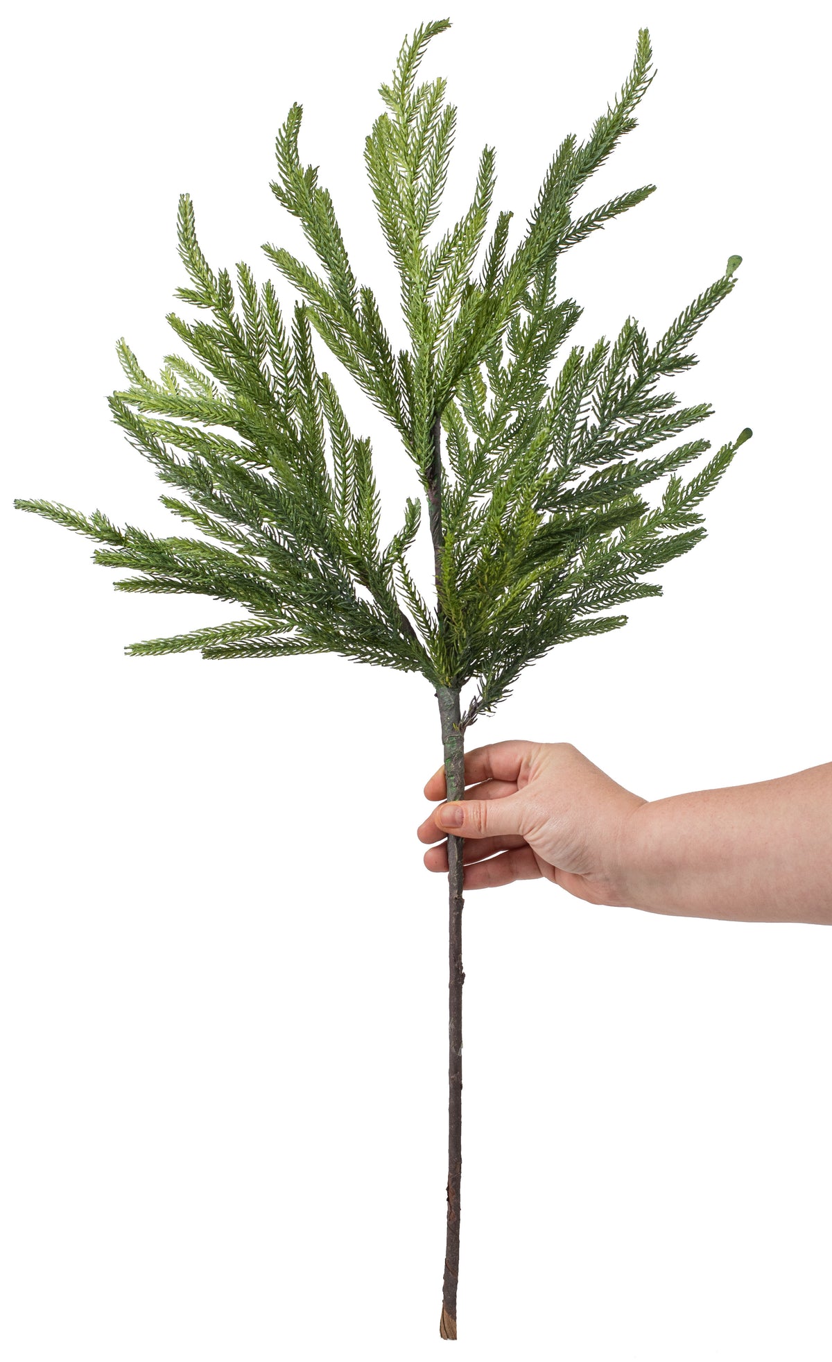 36" Fir Branch Spray detail photo 4