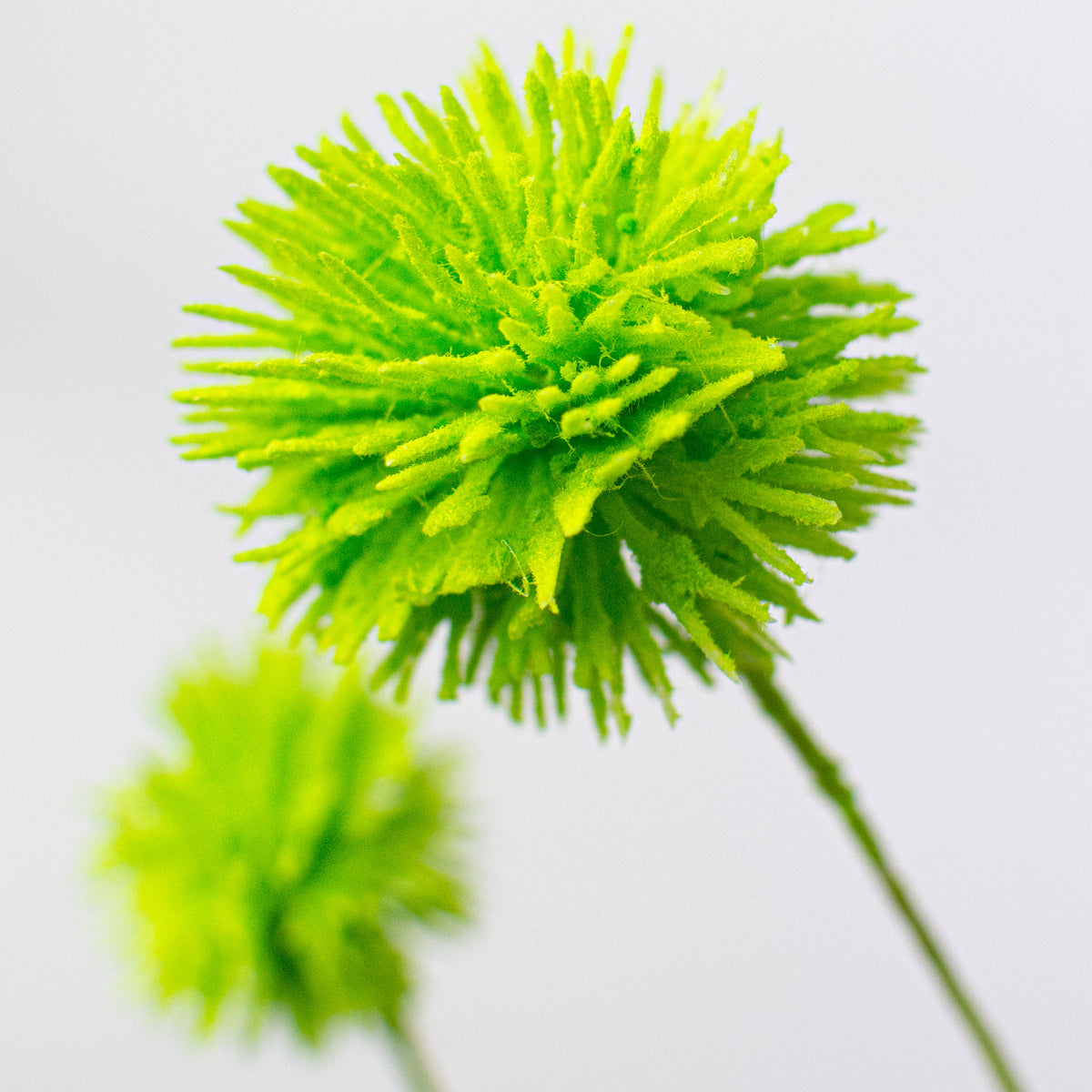 19" Flocked Pom Pom Spray: Lime Green Lifestyle Photo