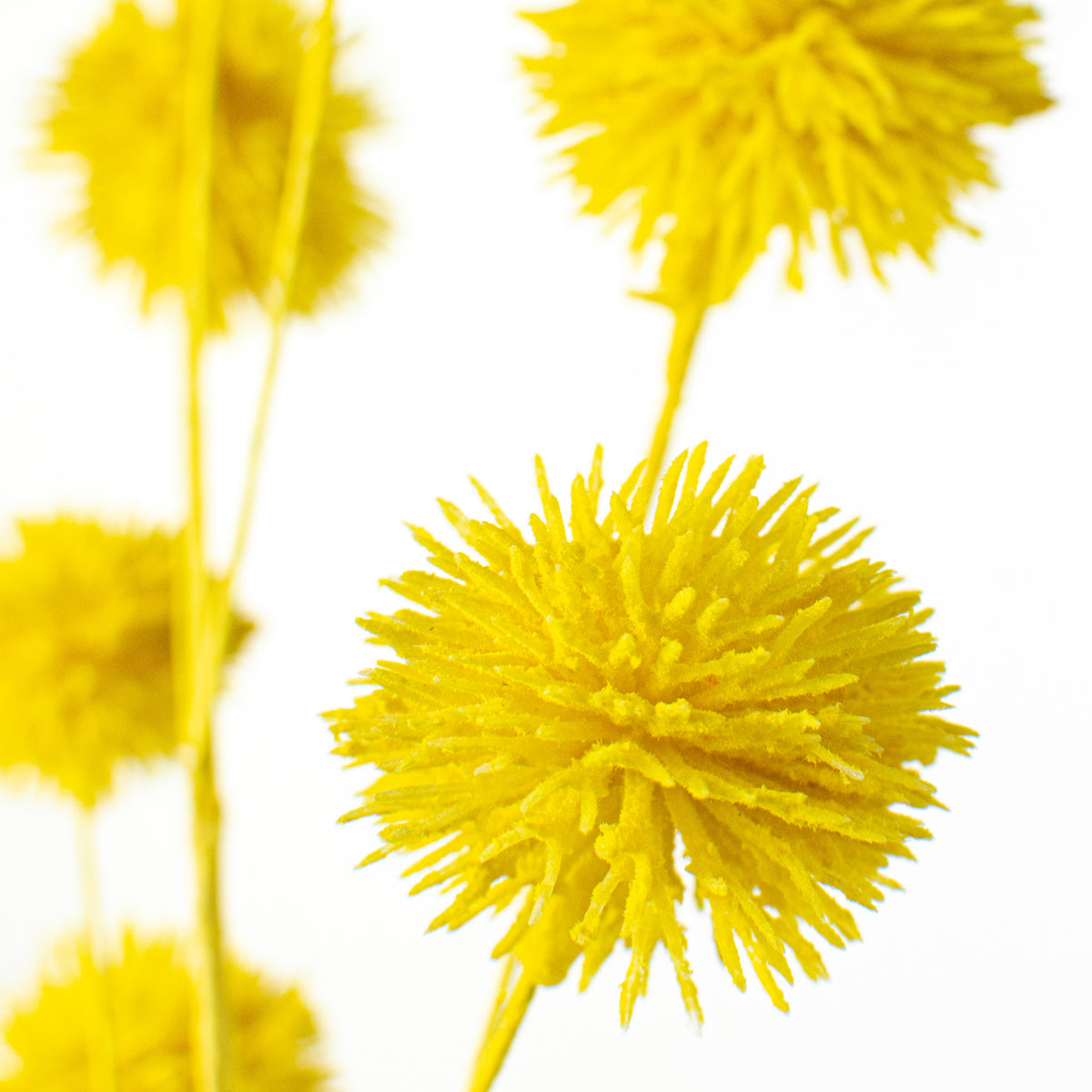 19" Flocked Pom Pom Spray: Yellow Lifestyle Photo