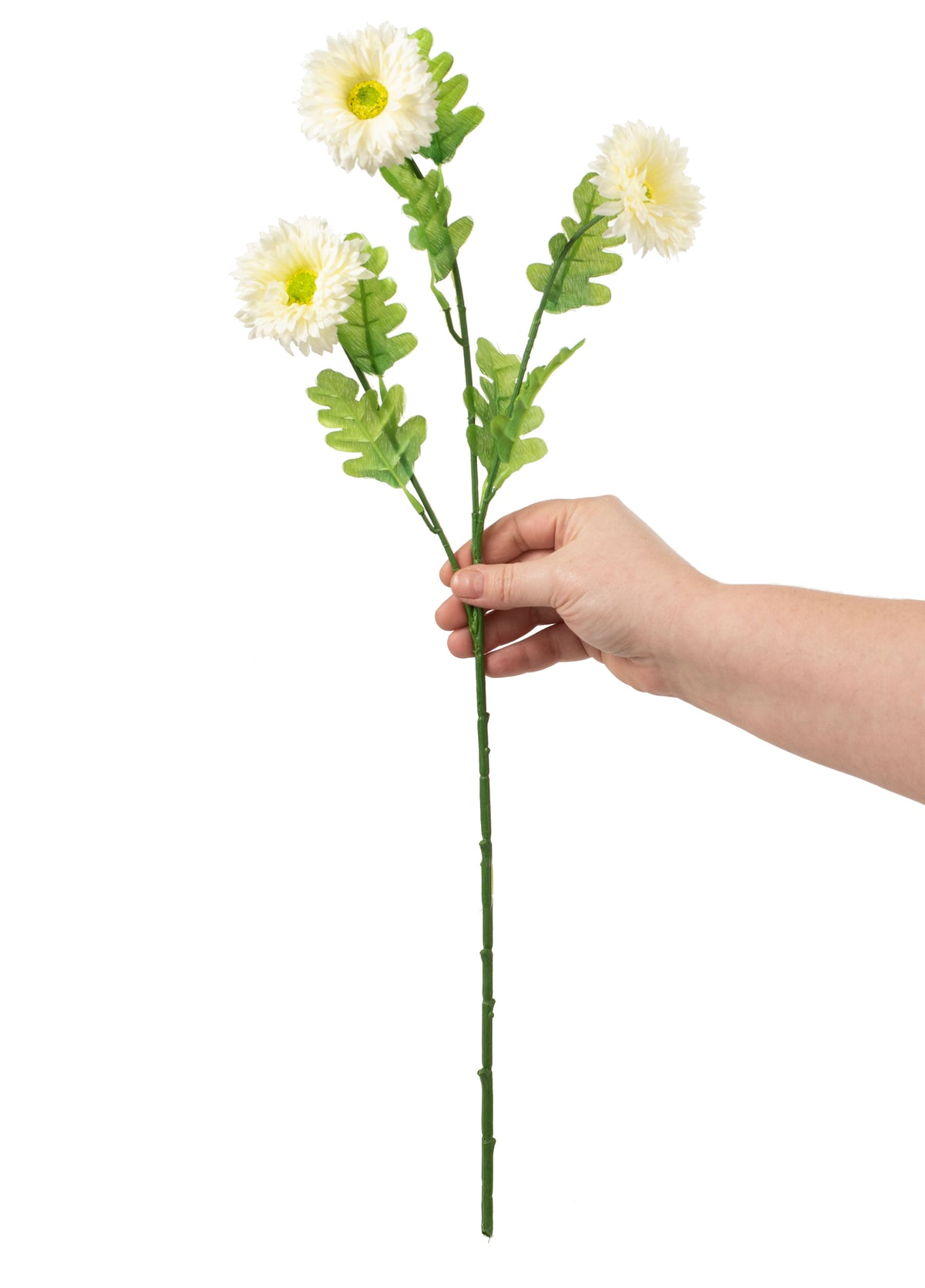 23" Gerber Daisies Spray: Cream detail photo 3