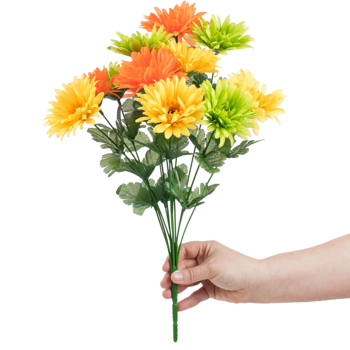 18" Gerbera Daisy Bush: Citrus (12 Stem) Lifestyle Photo