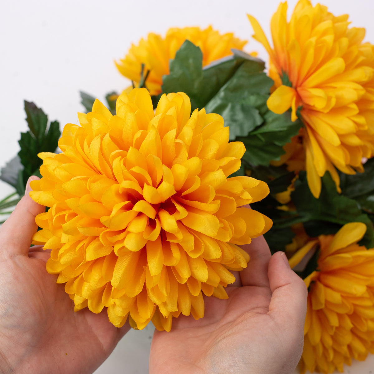 24" Giant Ball Mum Bush: Yellow (7 Stem) detail photo 3