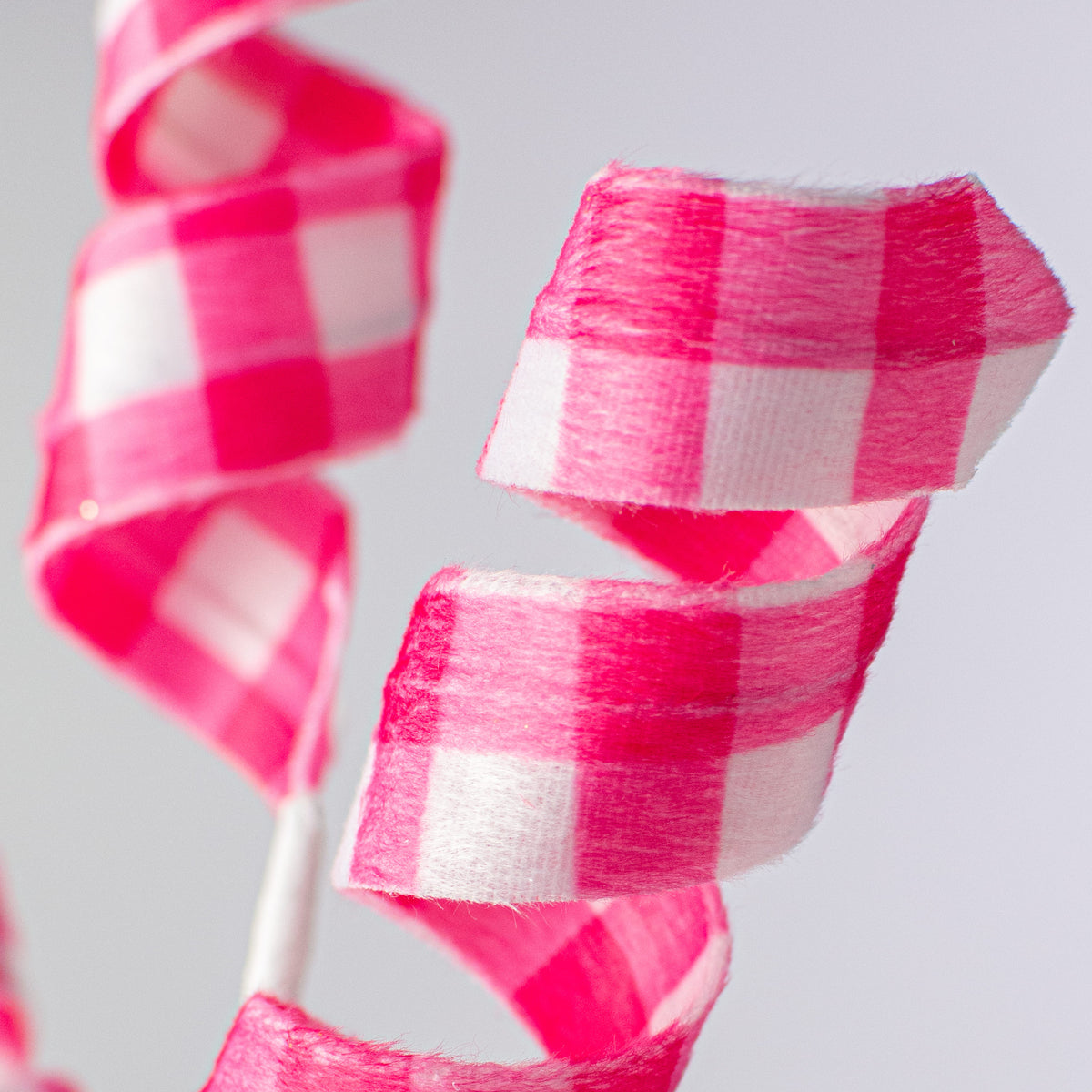 24" Gingham Curly Spray: Fuchsia Pink Lifestyle Photo