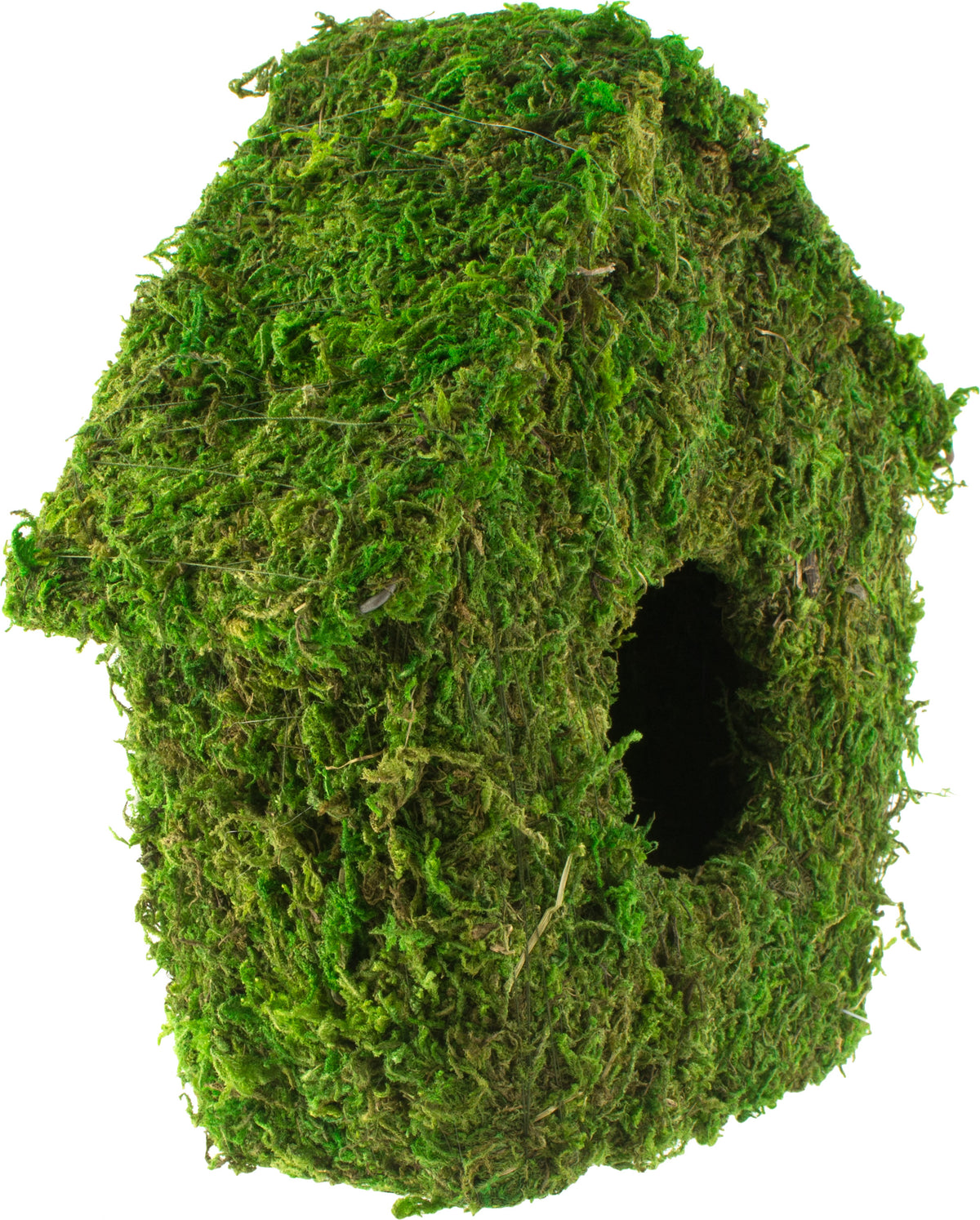 8" Green Moss Birdhouse detail photo 3
