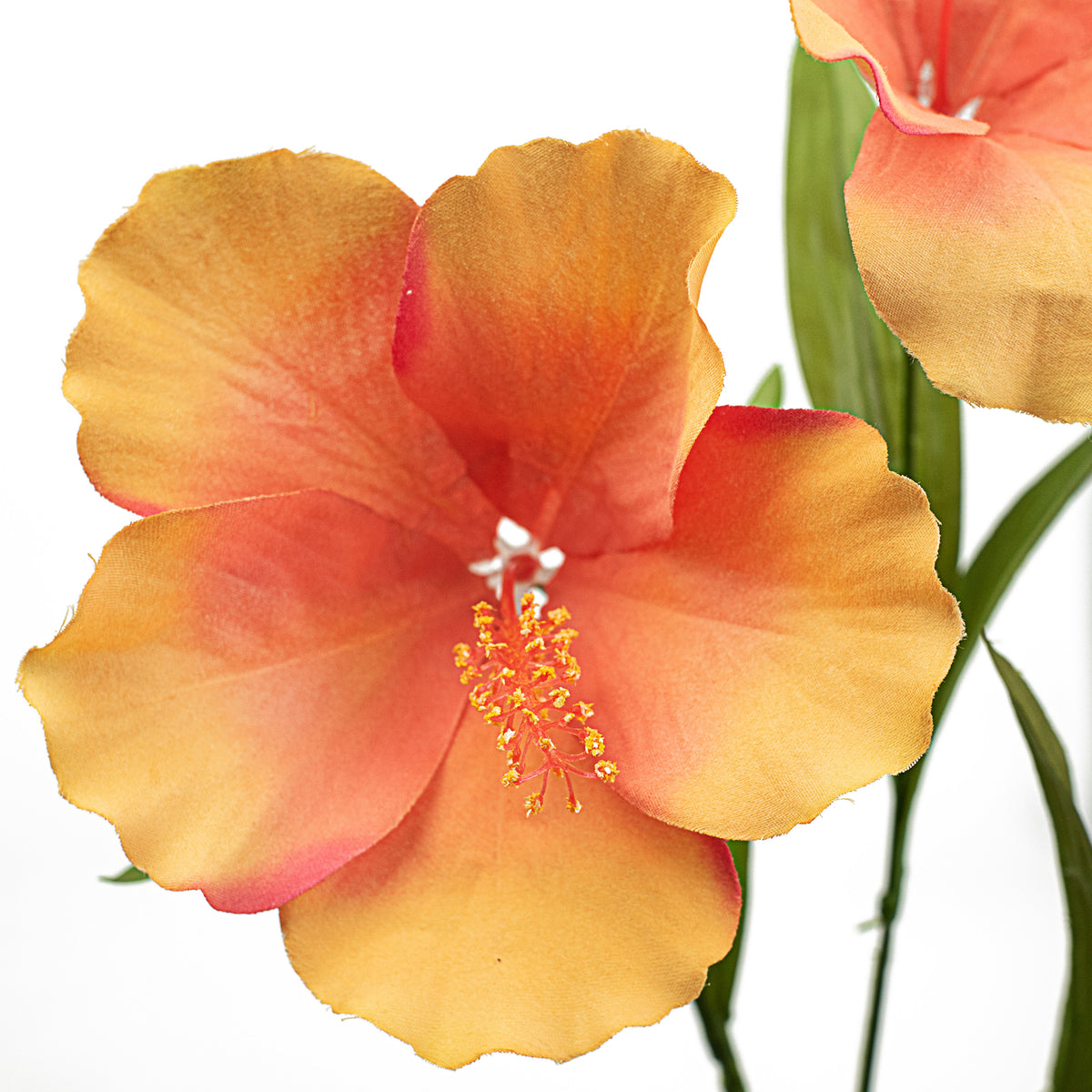 27" Hibiscus Spray: Coral Lifestyle Photo