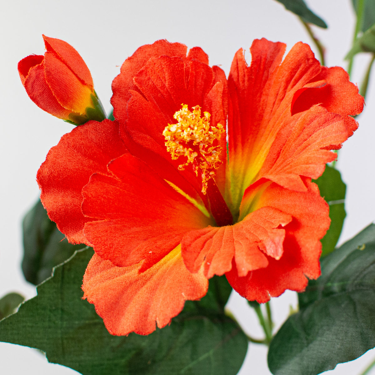 28" Hibiscus Spray: Orange Lifestyle Photo