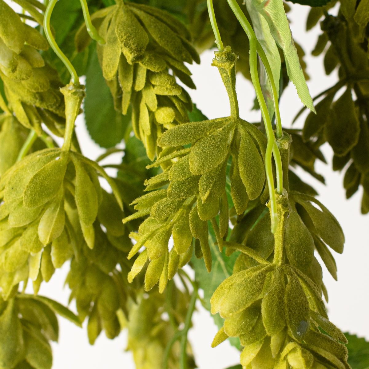 19'' Hops Hanging Spray: Green Lifestyle Photo
