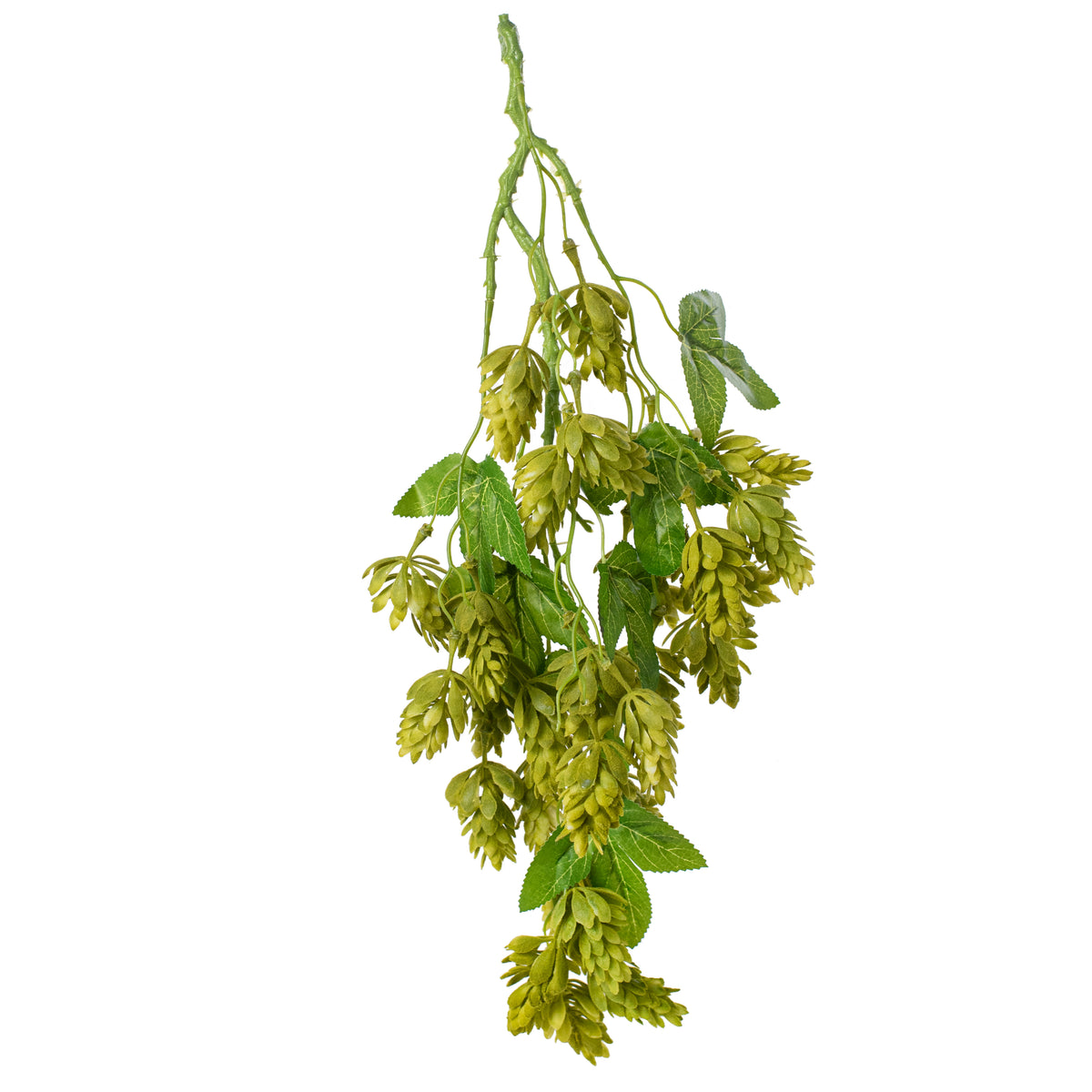 19'' Hops Hanging Spray: Green Item Number: 211542