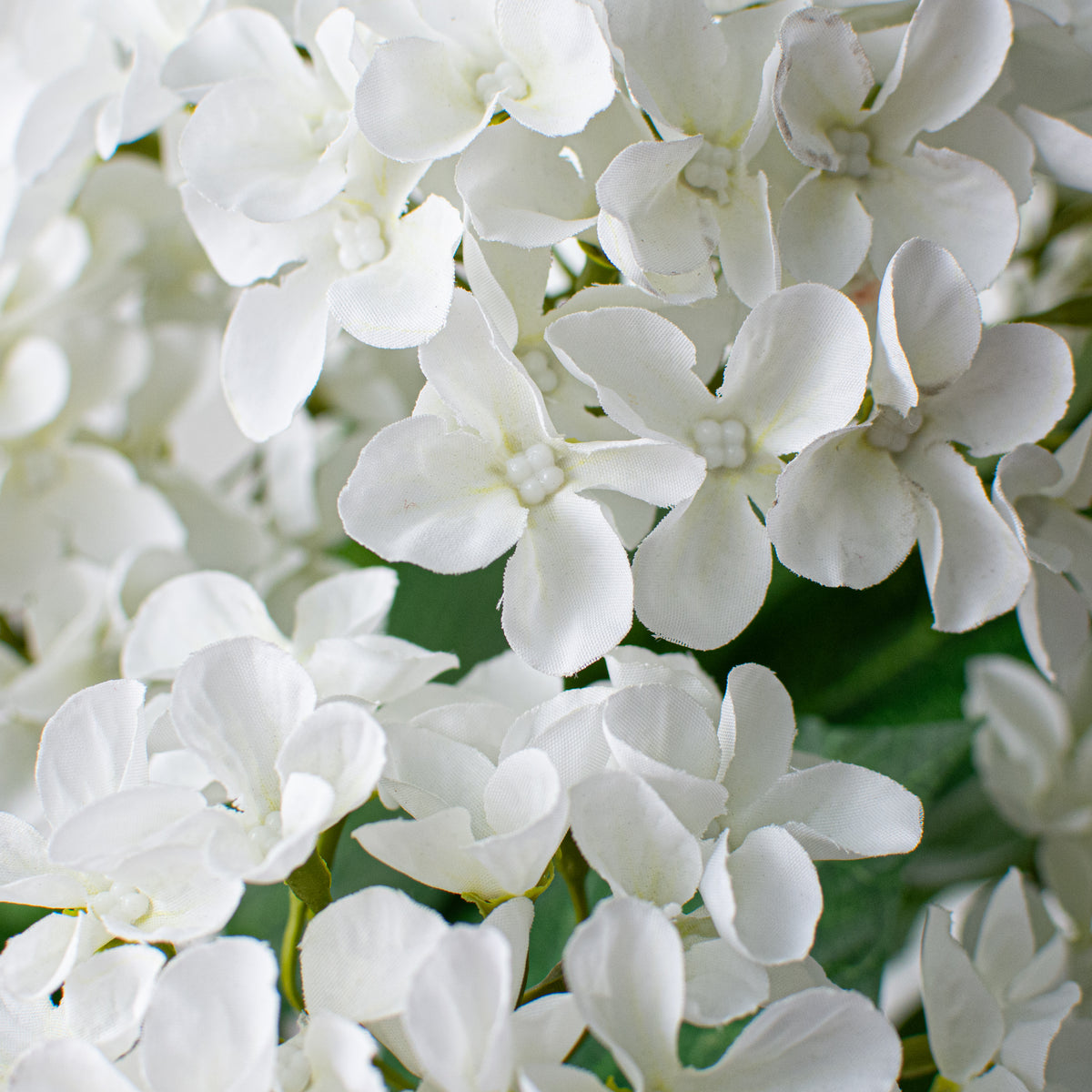 23" Hydrangea Bush: White Lifestyle Photo
