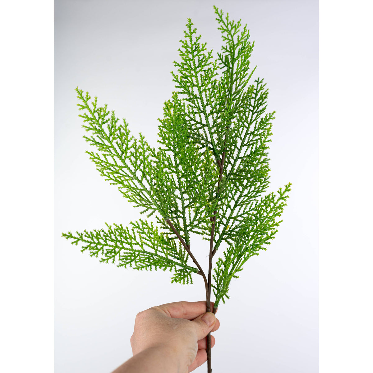 21" Cypress Pick Bundle: Evergreen