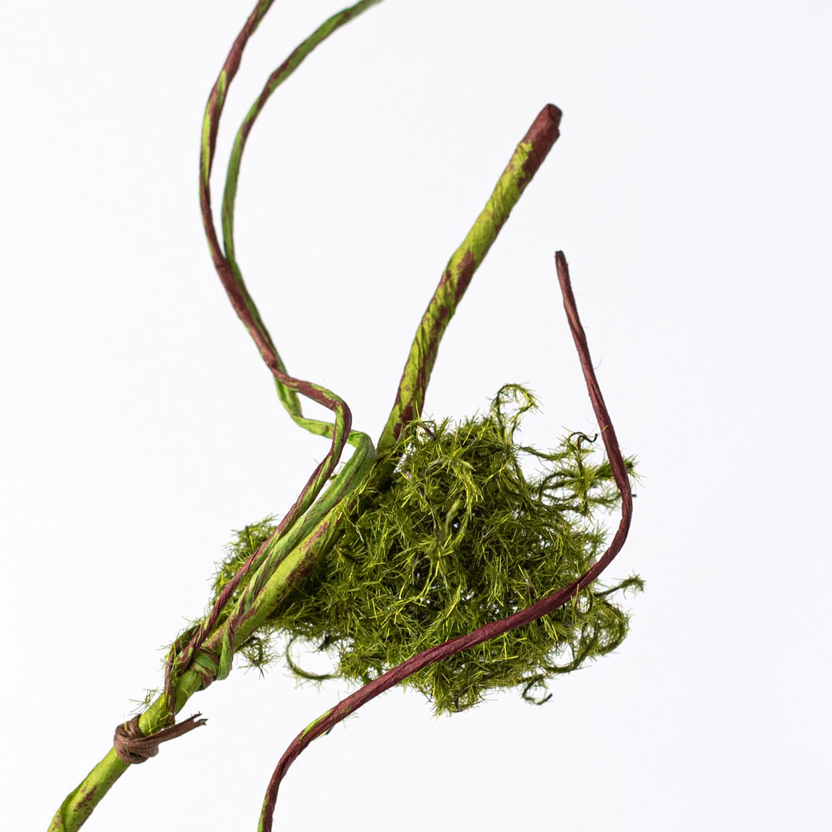 26" Mossy Bird Nest, Fern & Twigs Spray