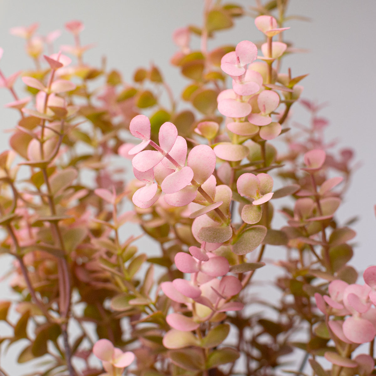 20" Plastic Eucalyptus Bush: Pink