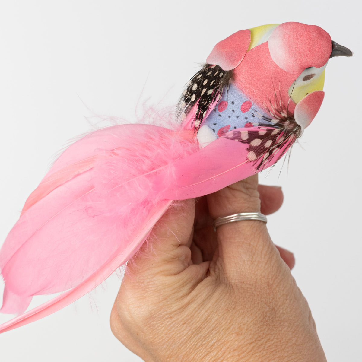 7" Feathered Spring Bird Clips: 3 Assorted (Box of 12)