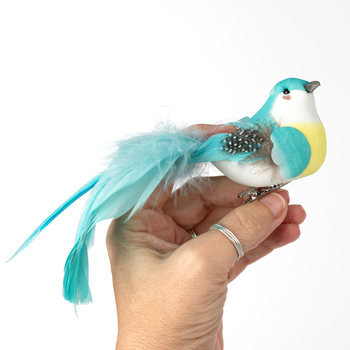 7" Feathered Spring Bird Clips: 3 Assorted (Box of 12)