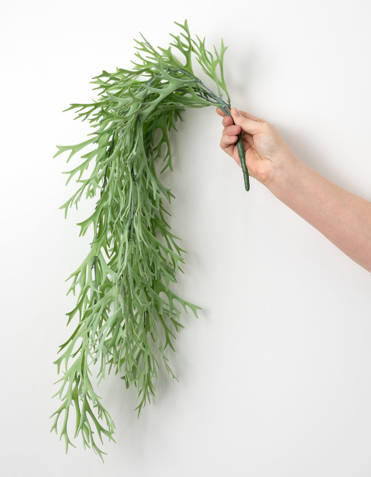 31" Staghorn Fern Vine Hanging Branch