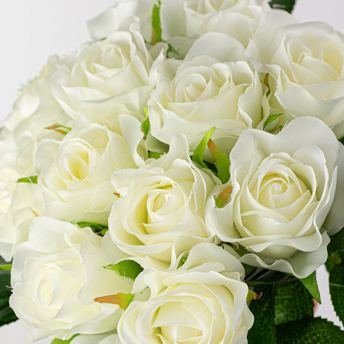 10" Melanie Rose Bouquet: Cream (12 Stem)