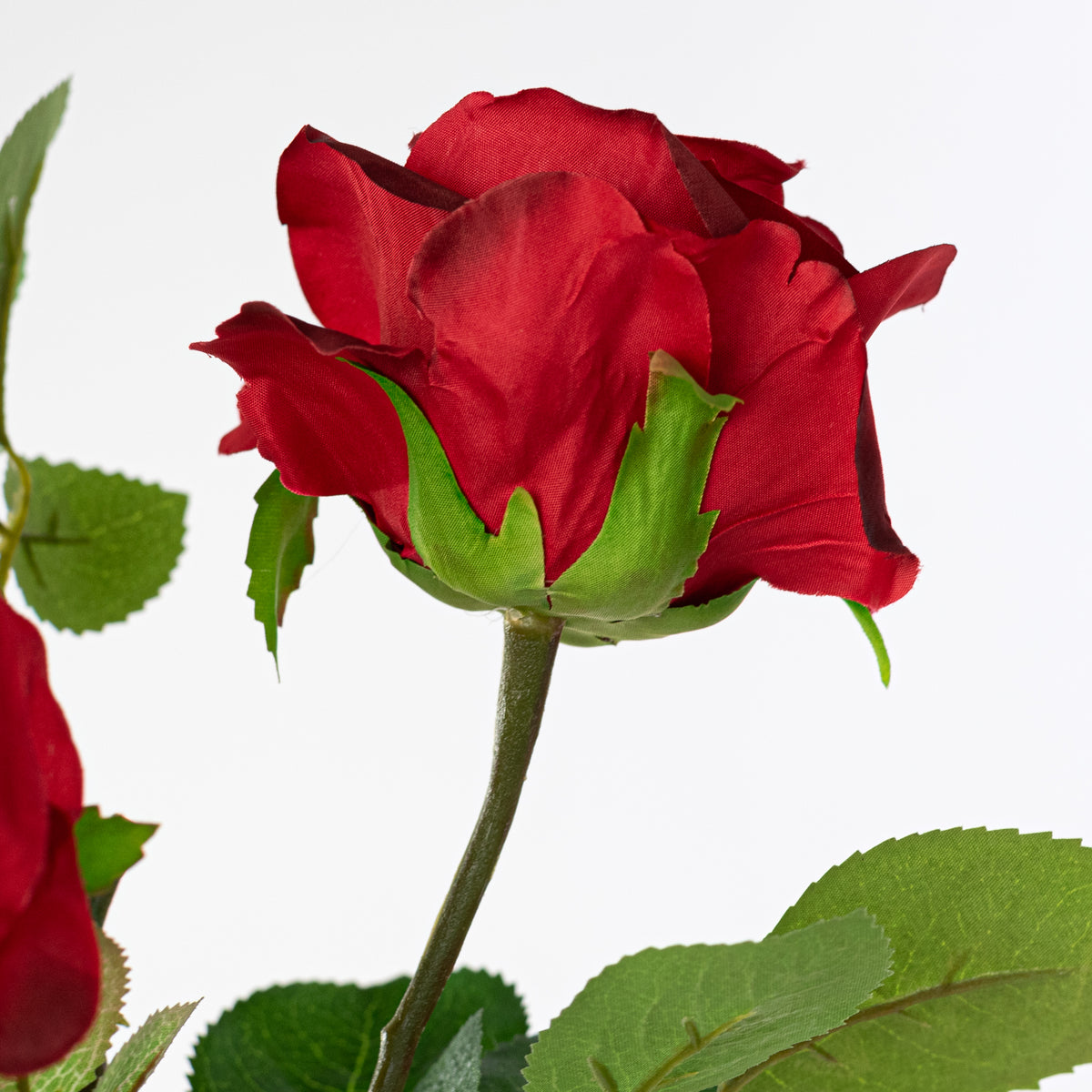 30" Roses Bud, Blooms & Leaves Spray: Red