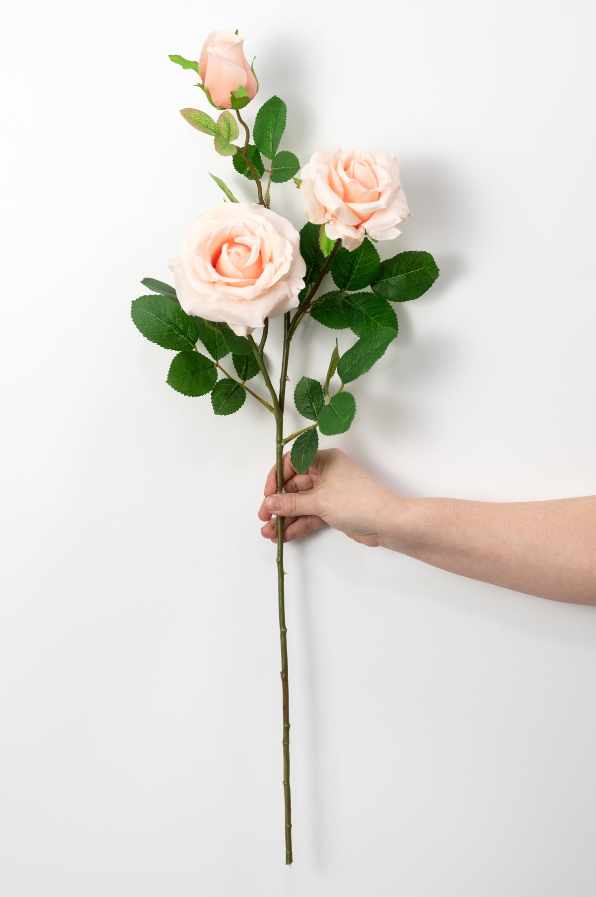 30" Roses Bud, Blooms & Leaves Spray: Blush Pink