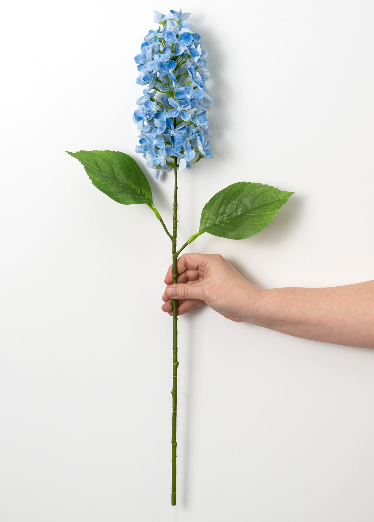 25" Lilac Stem: Blue