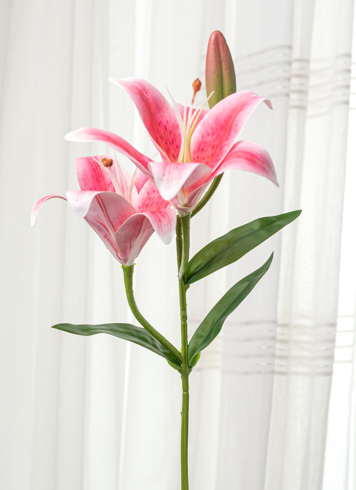 21" Lily Bush: Hot Pink (9 Stem)