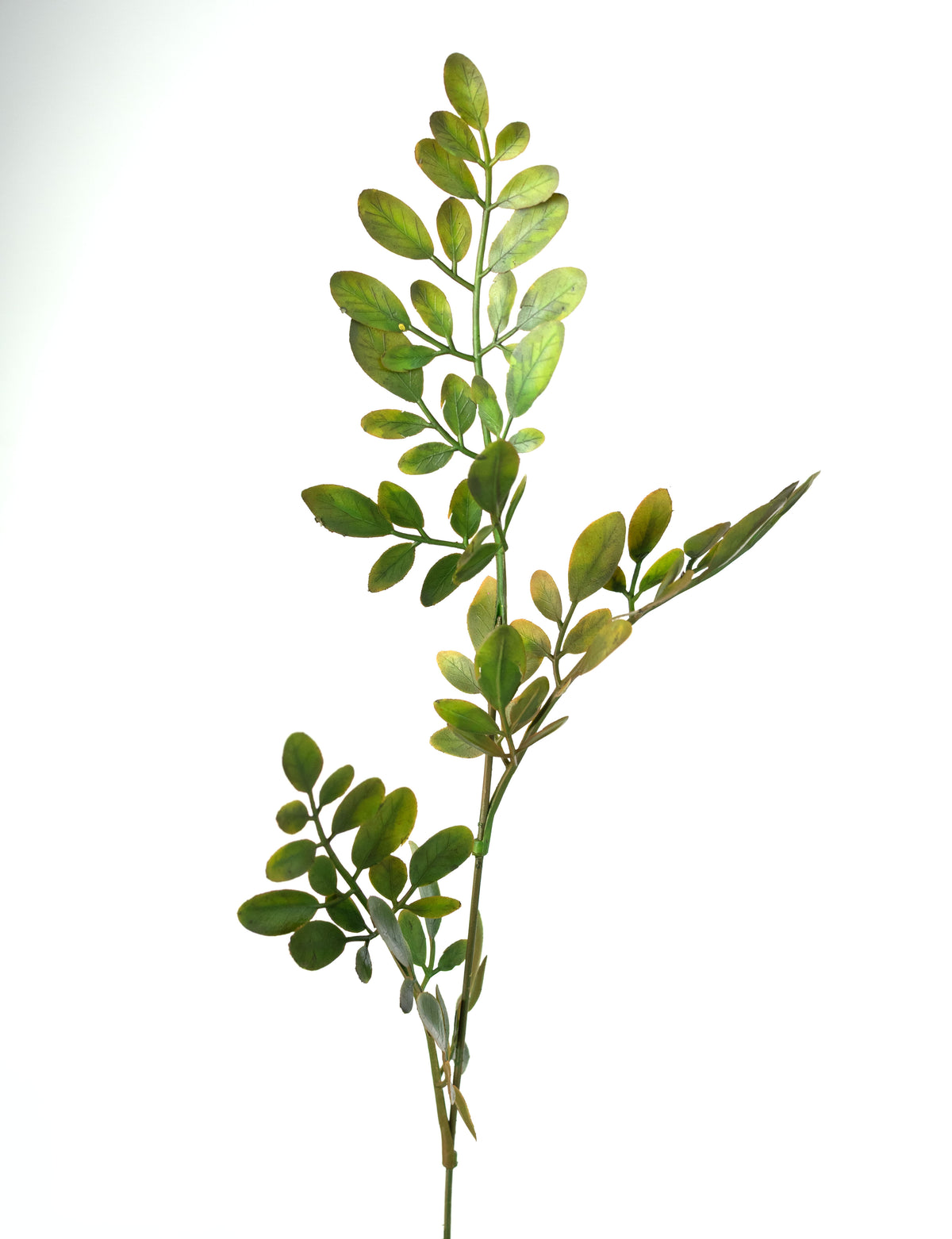 21" Plastic Locust Leaf Bush: Sage Green (7 Stem)