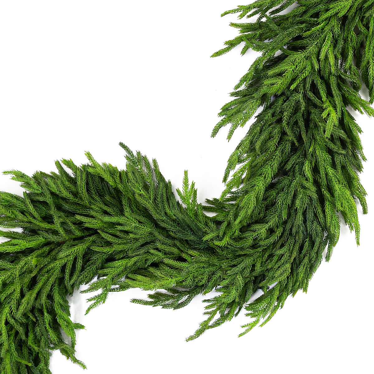6' Real Touch Norfolk Pine Premium Full Garland