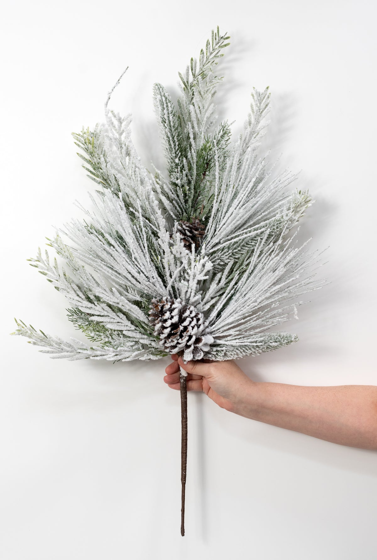 24" Mixed Flocked Pine & Pinecone Spray