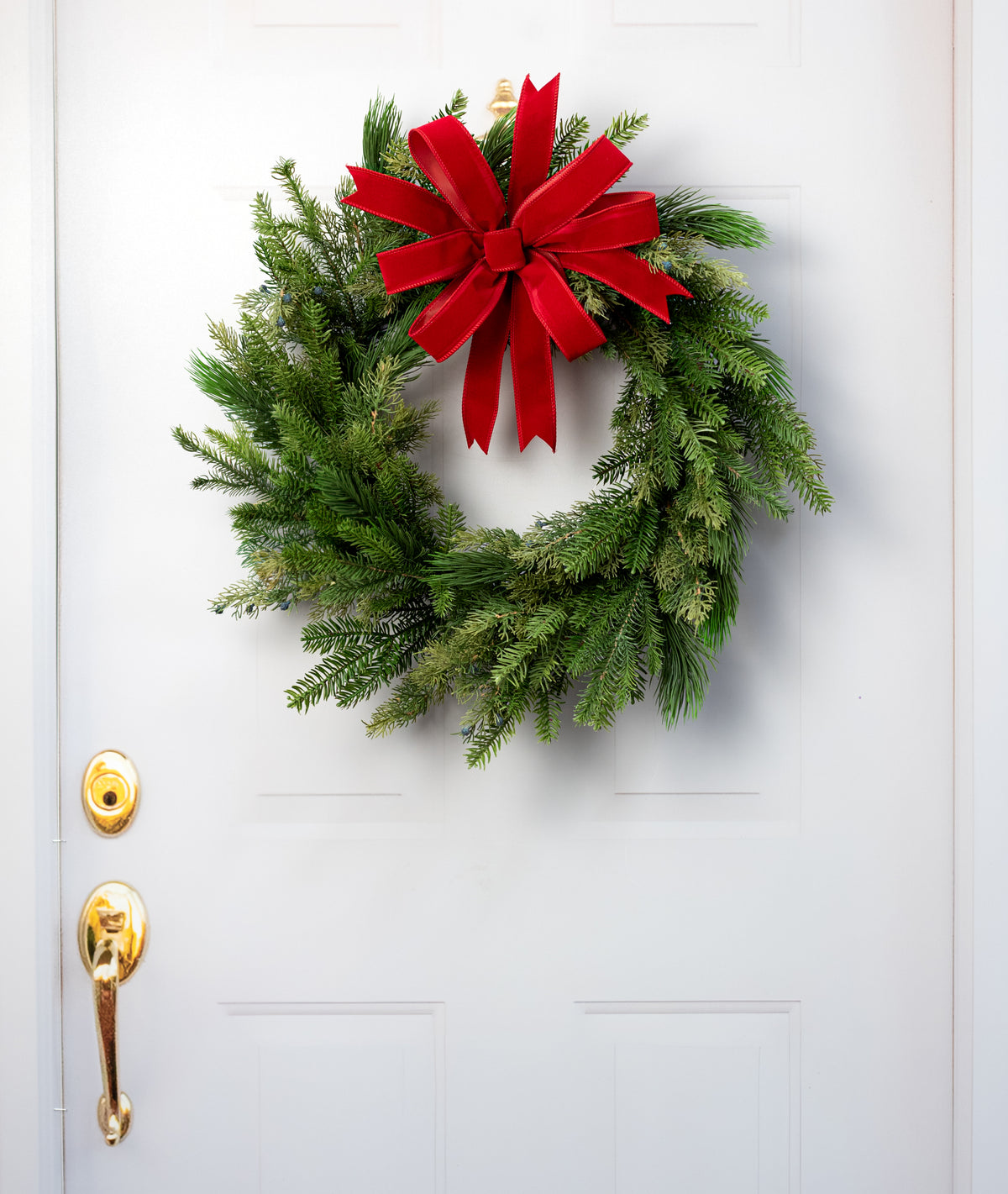 24" Belgium Pine Wreath: Evergreen (54 Tips)