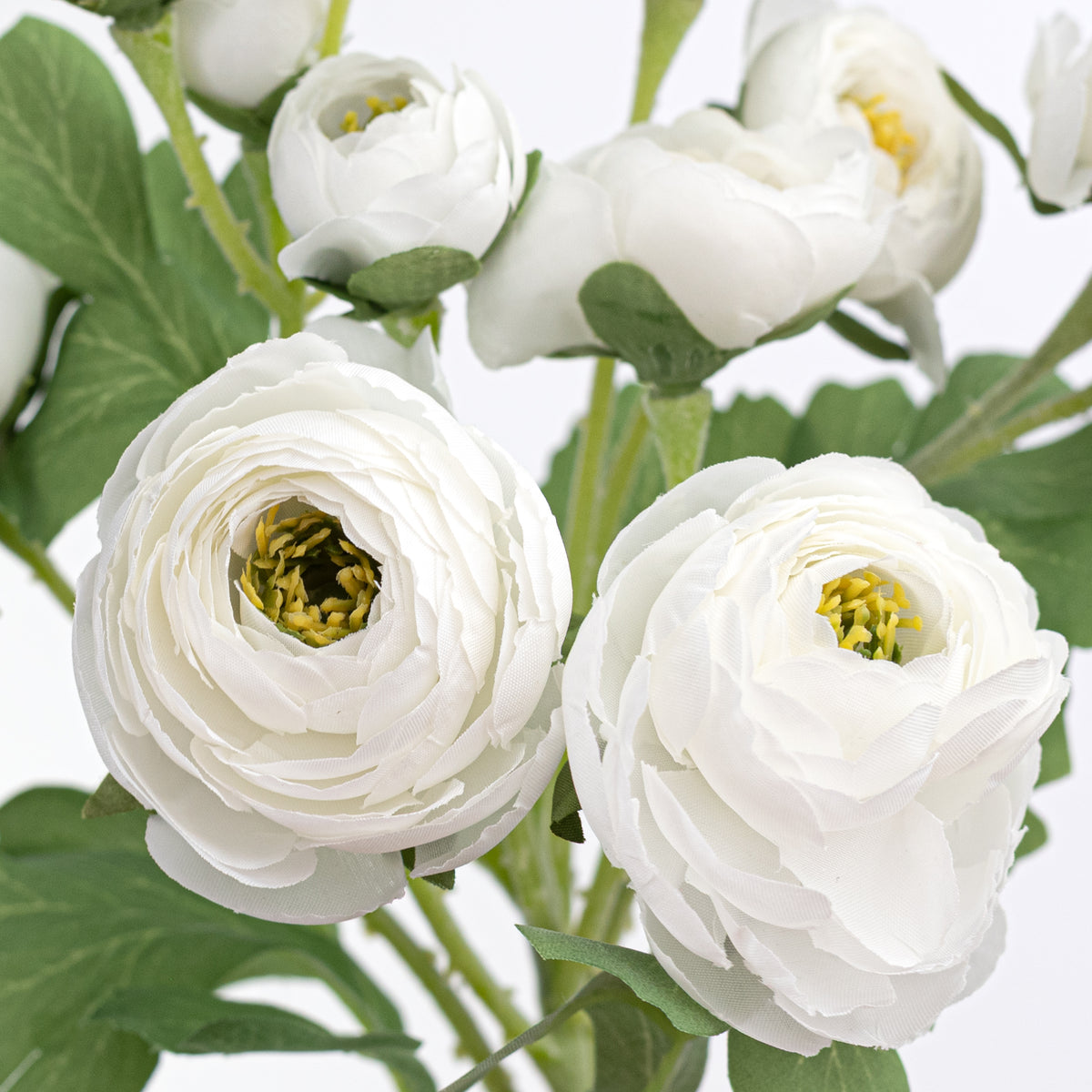 21" Ranunculus Spray: White