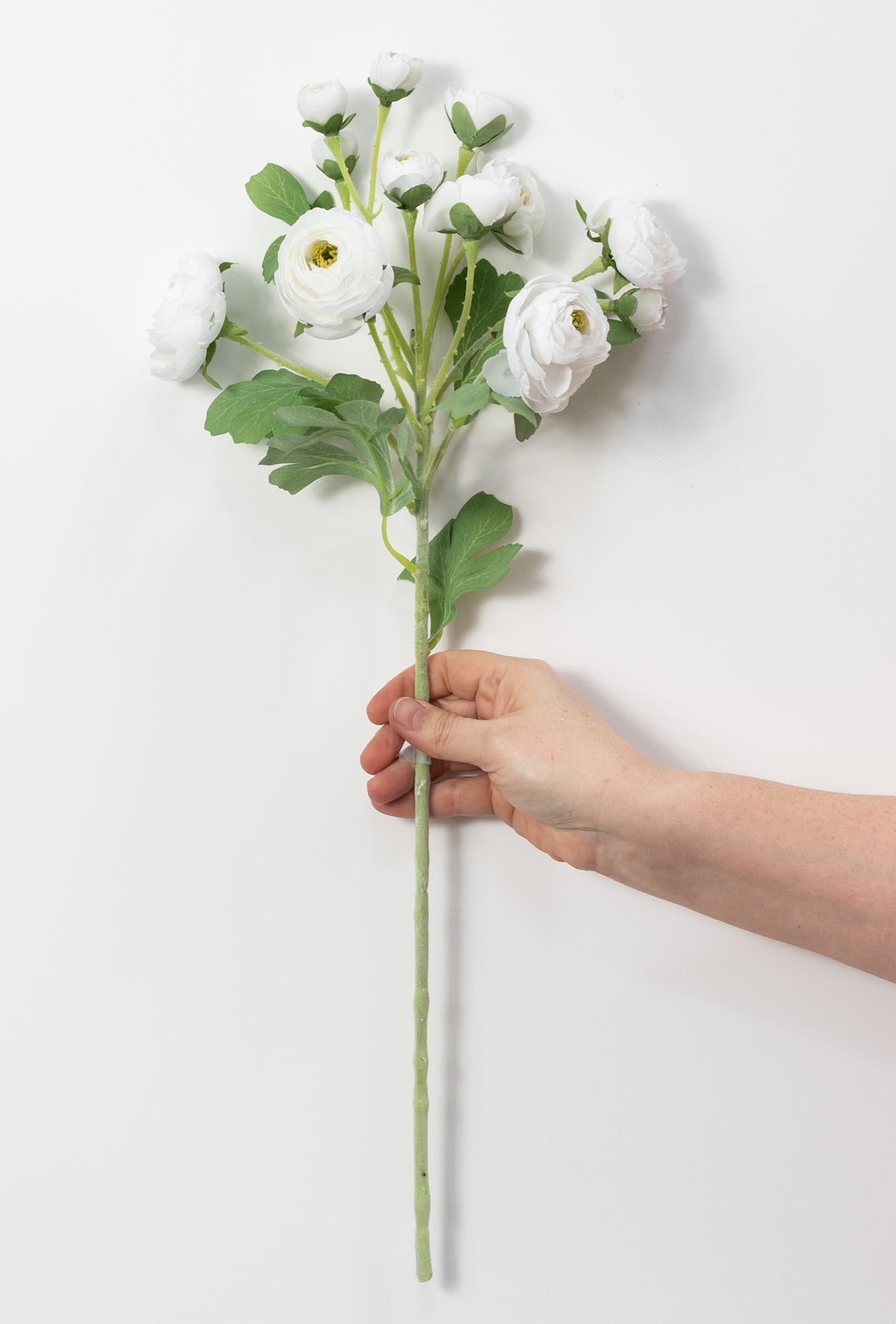 21" Ranunculus Spray: White