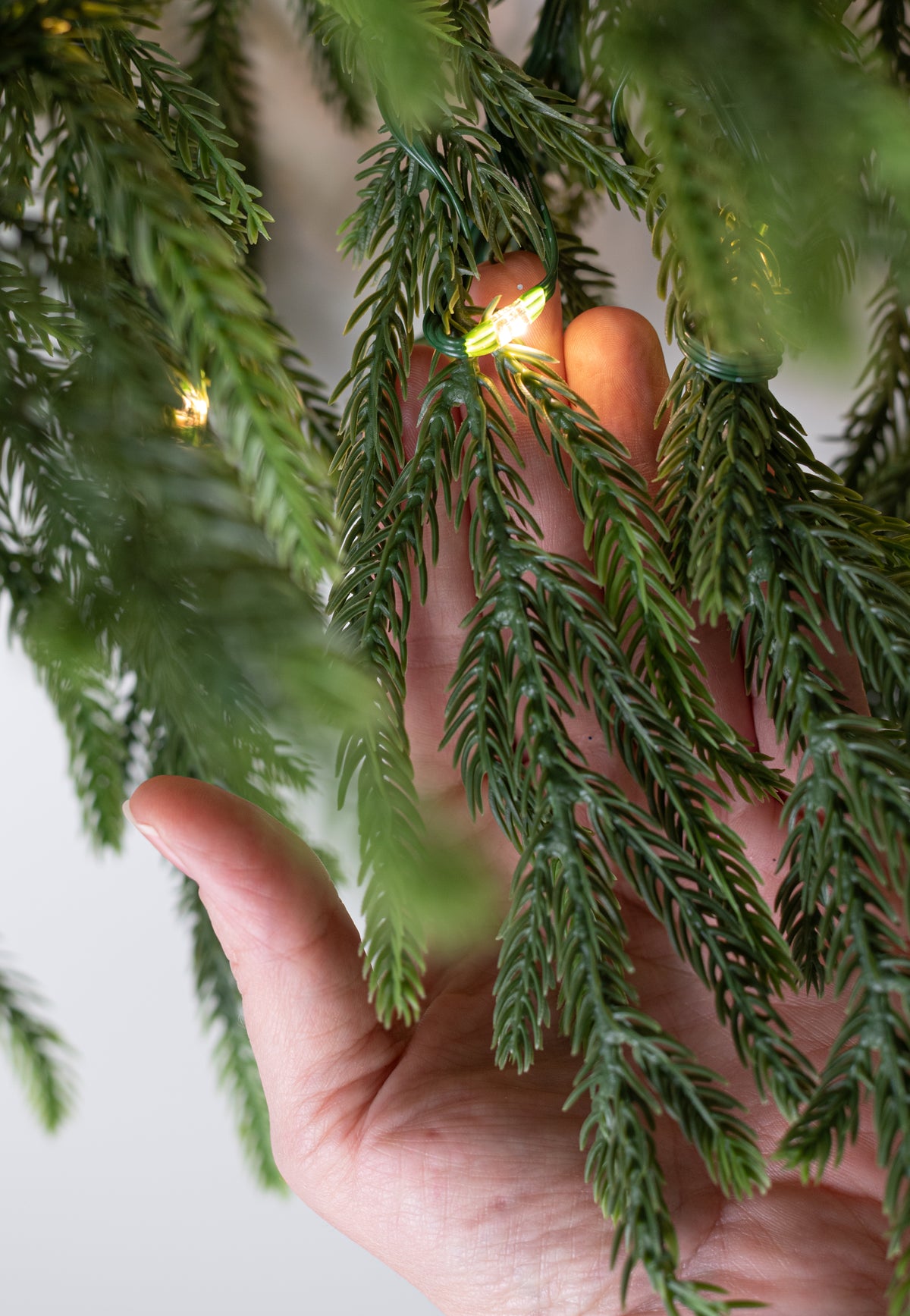 6' Norfolk Pine Starlite Lighted Garland (120 Tip)