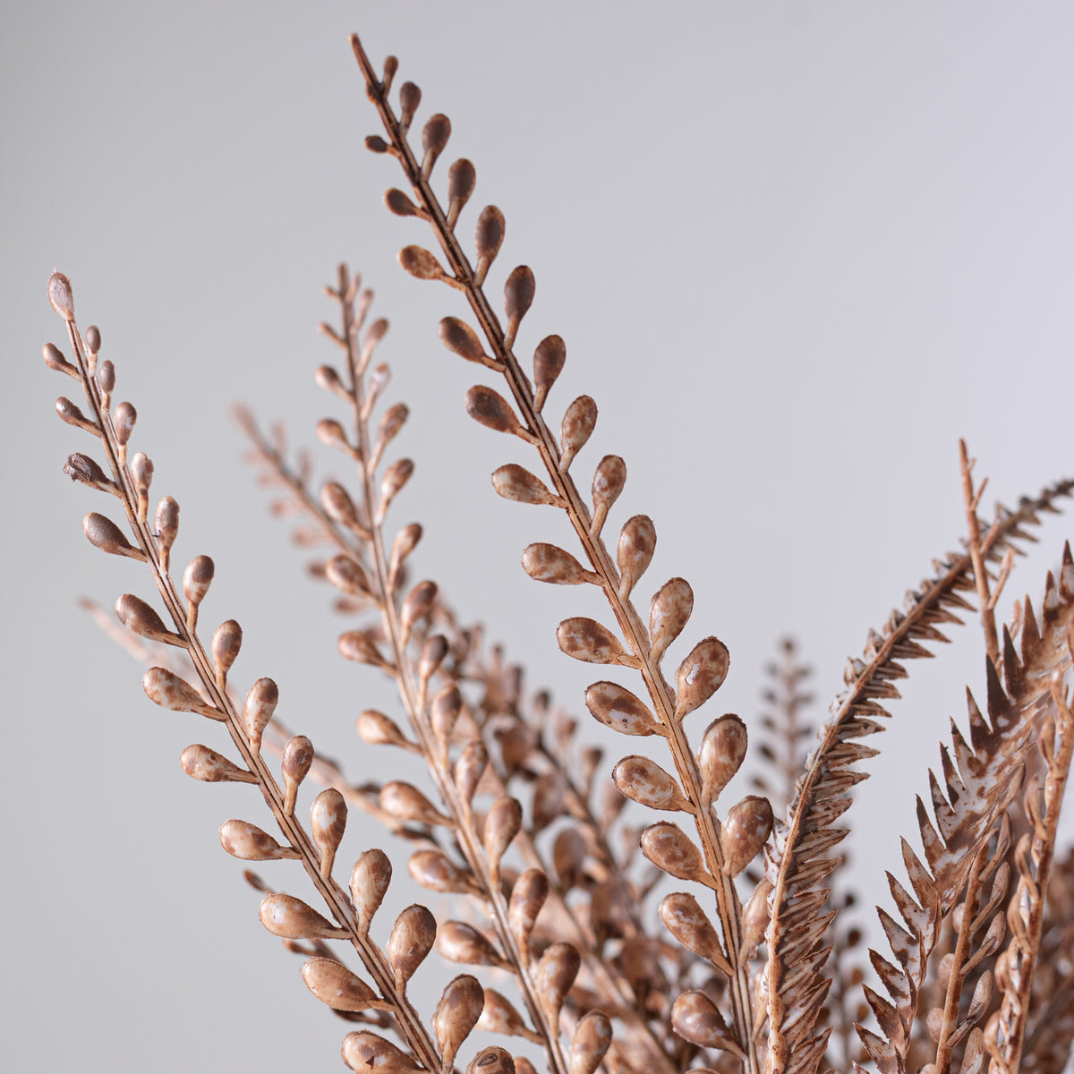 17" Button Sword Fern Bush: White Wash Brown