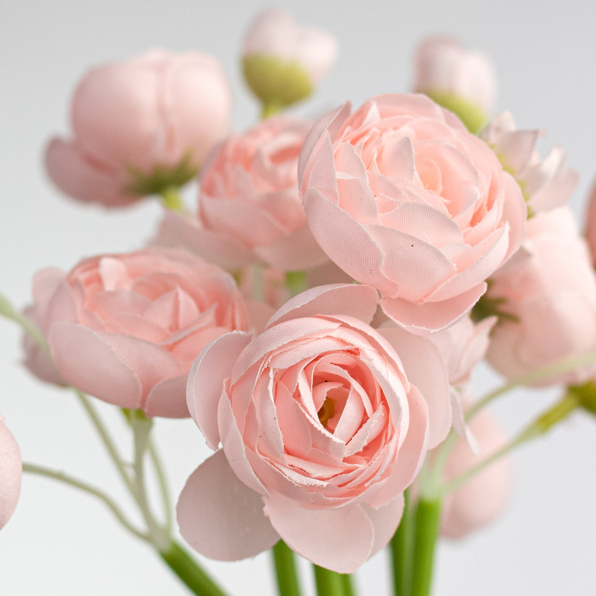 11" Mini Ranunculus Bundle: Light Pink