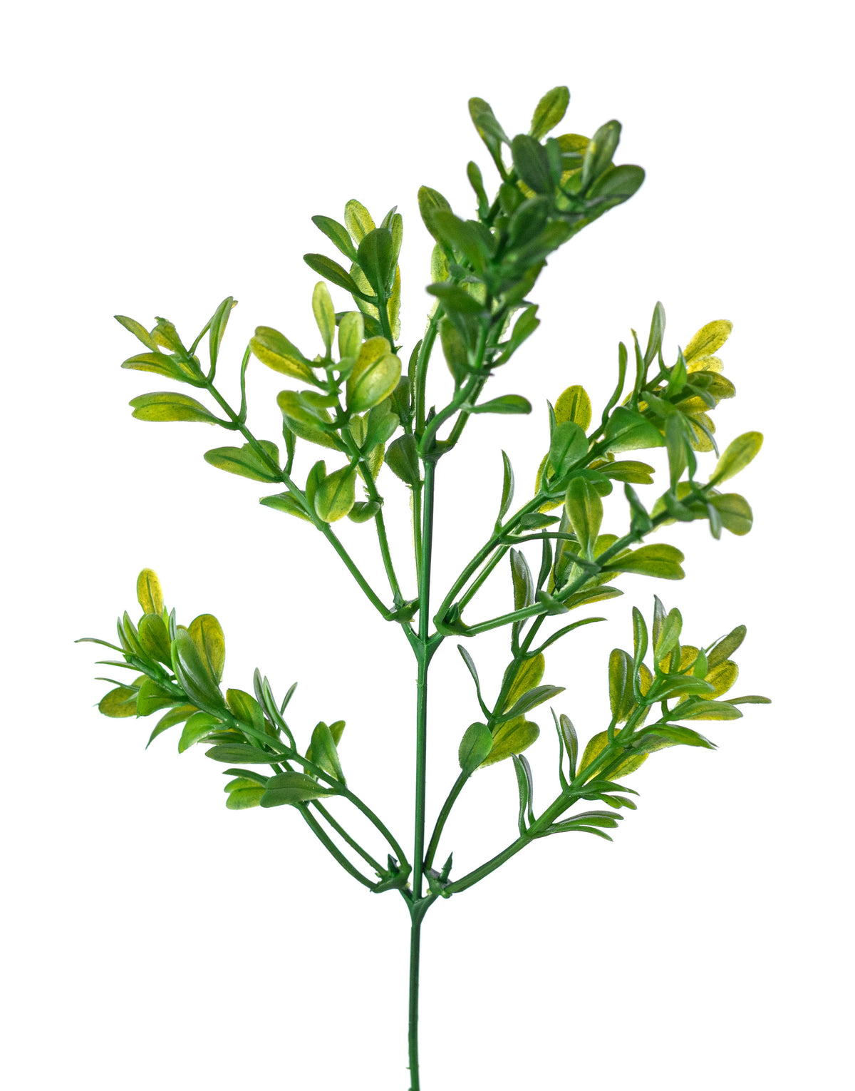 13" Boxwood Bush: Green (7 Stem)