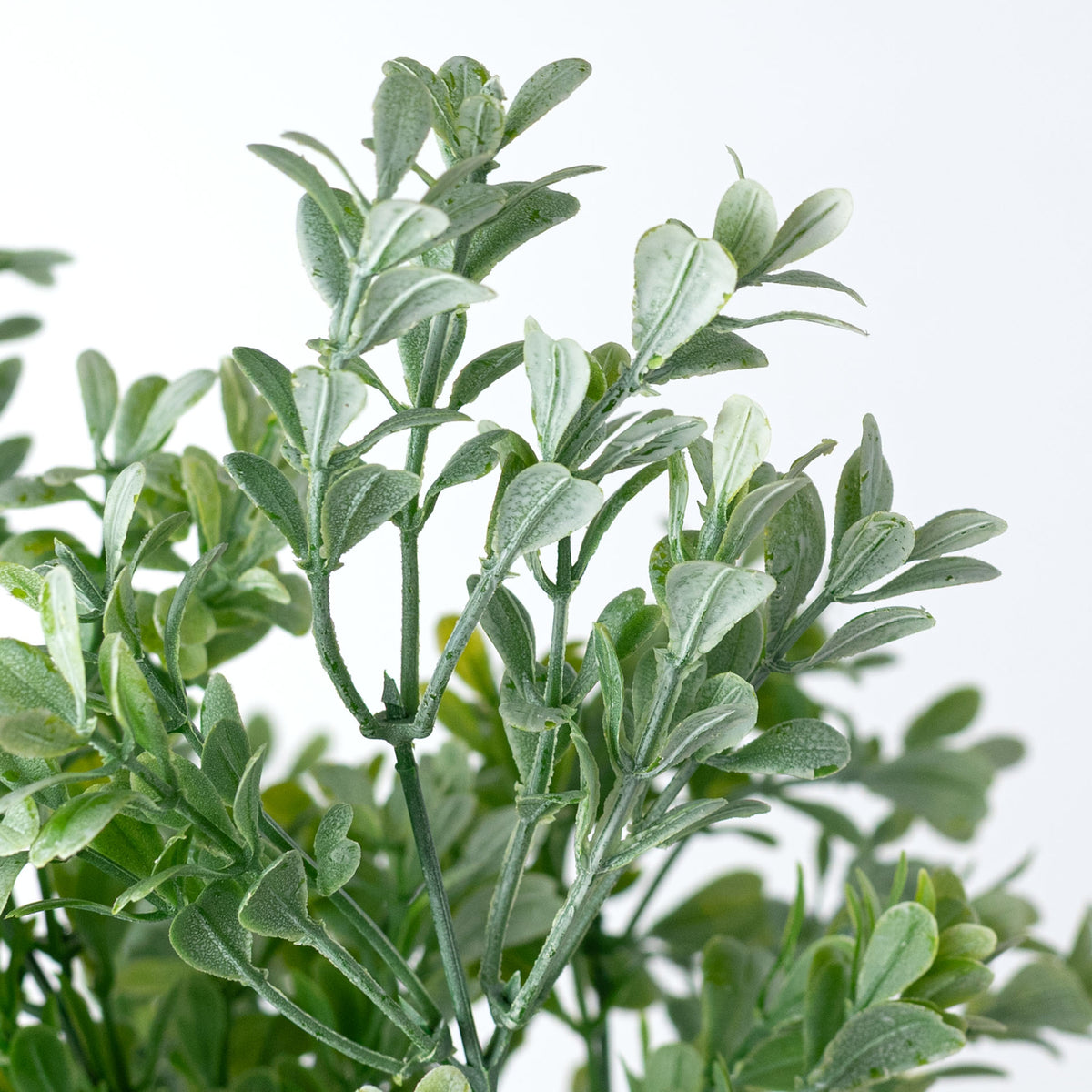 13" Boxwood Bush: Dusty Green (7 Stem)